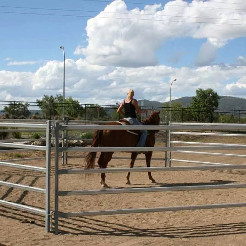 Q195 Q345 Galvanized Cattle Fencing GB DIN 1m-12m Galvanized Farm Fence
