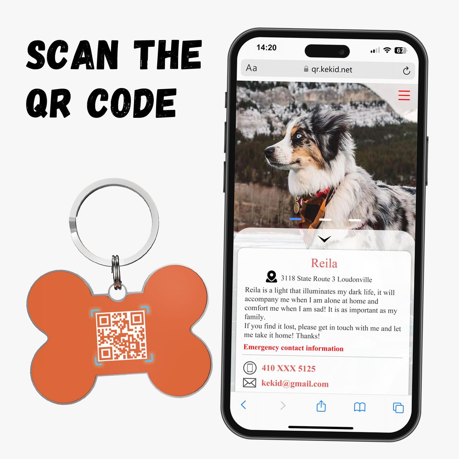 Custom Stainless Steel Pet Tags Reflective Large with QR Code