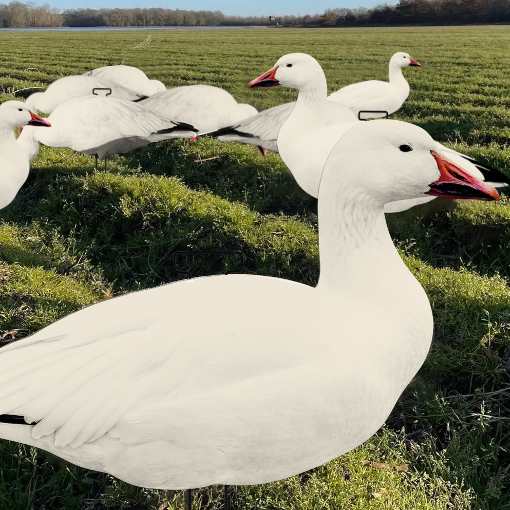 Snow Goose Hunting Decoy Eva Plastic Flocked Silhouette Geese Decoys Juvenile Geese Design
