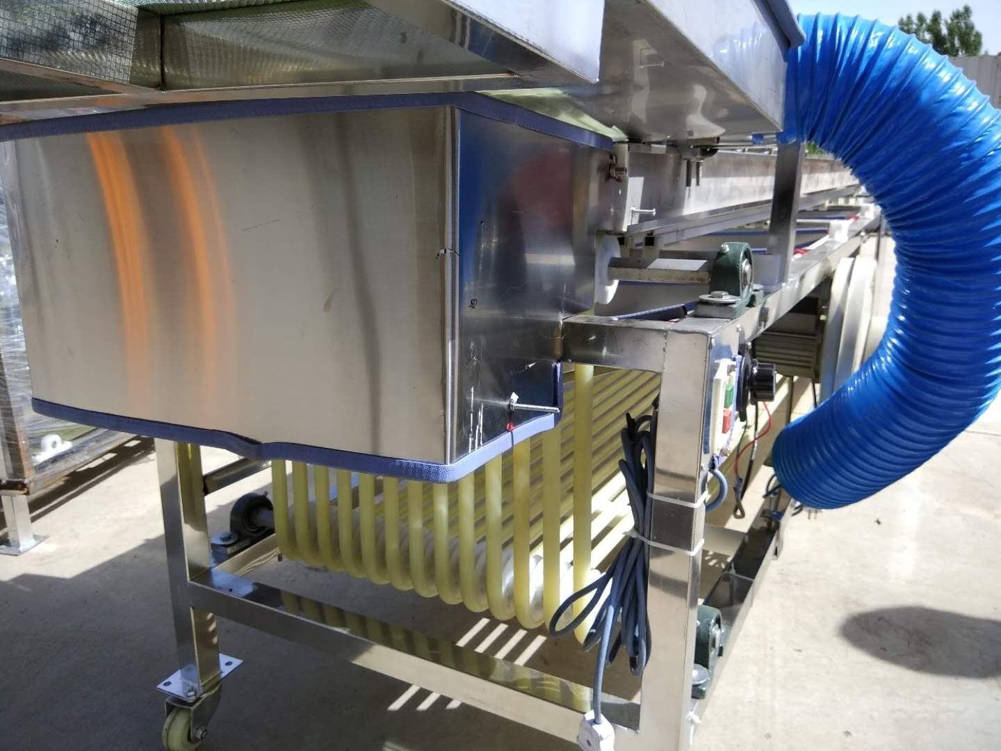 Macadamia Nut Roasting Machine Stainless Steel Fruit Sorting Grading Machine