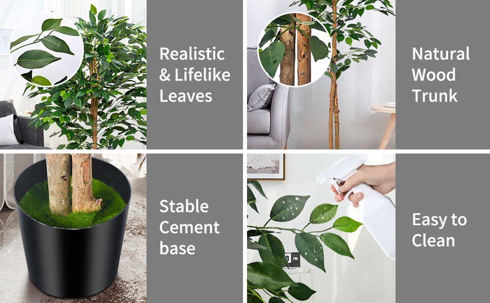 Ficus Tree Detail