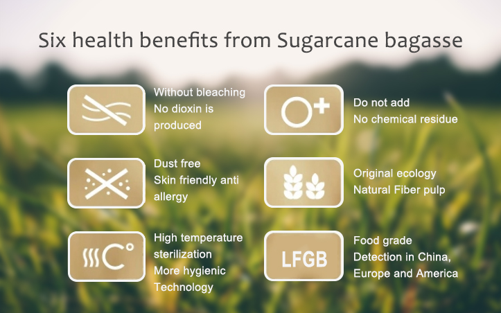 Zero Plastic Compostable Sugarcane Bagasse 2 Cup Carrier