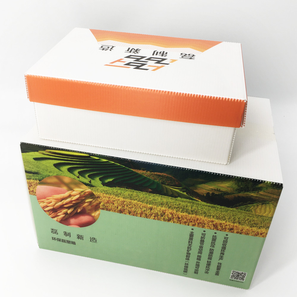Anti Virus Waterproof Corrugated Plastic Storage Boxes With Lid 5 Layers Stackable