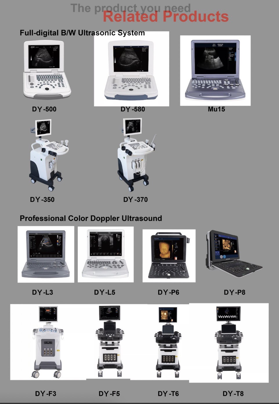 Notebook Black And White Ultrasound Scanner for Cardiology