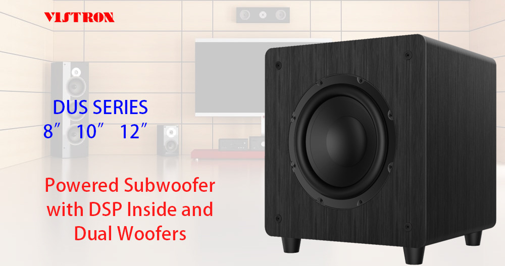 12 Inch 10 Inch Subwoofer Home Theater 500 Watts With Brushed Black Vinyl OEM