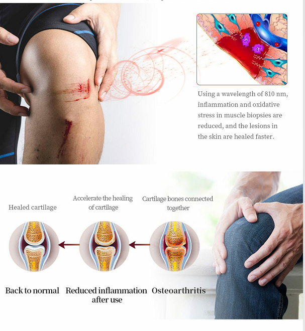 Multi Colors PDT Light Therapy Device Therapeutic Infrared Pad