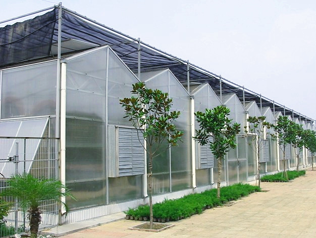Venlo Type PC Sheet Greenhouse Aluminium Alloy Roof Top Height 4.5m-8.0m