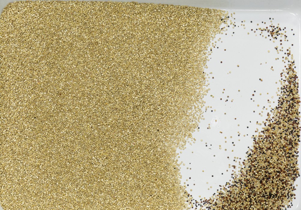 Optical CCD Camera Plastic Color Sorting MachinePlastic Pet Granules Flakes Sorting Machine