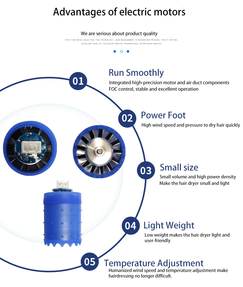 High Torque Brushless DC Motor Hair Dryer Motor Customizable