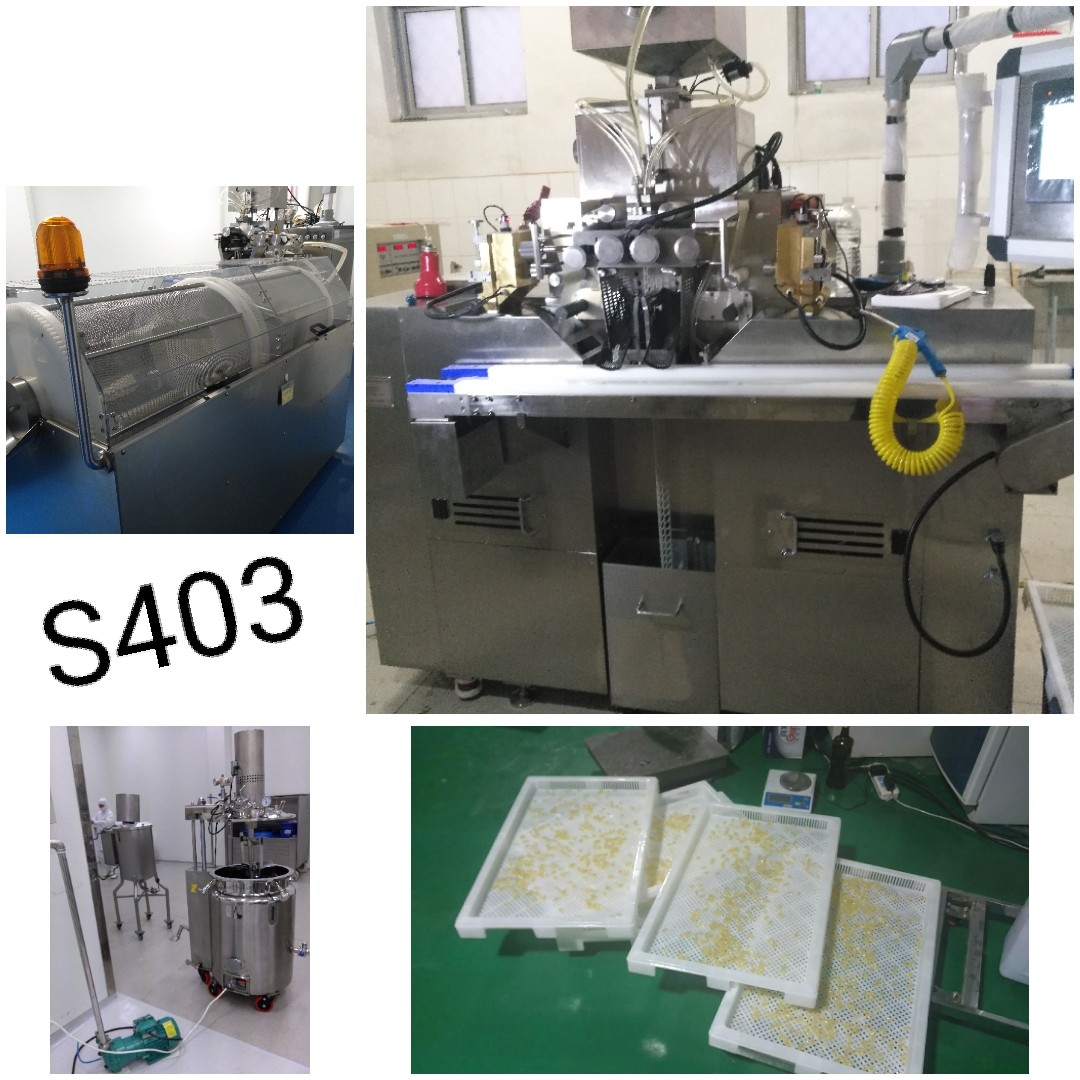 Stainless Steel Softgel Encapsulation Machine For Oval Oblong Shape Fish Oil / Vitamin Capsule