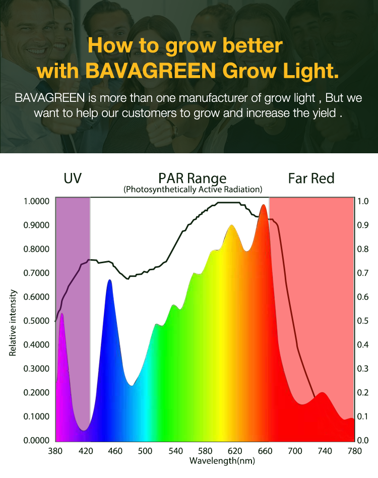 ETL Bava Full Spectrum LED Bar Far Red 800W Samsung LED Grow Light Bar