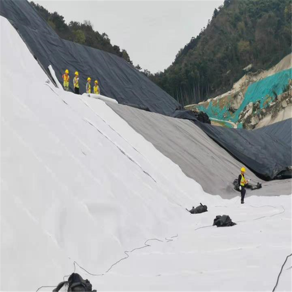 PP PET Geotextile for Landfill Project Non Woven Geo Fabric Needle Punched Sample Free