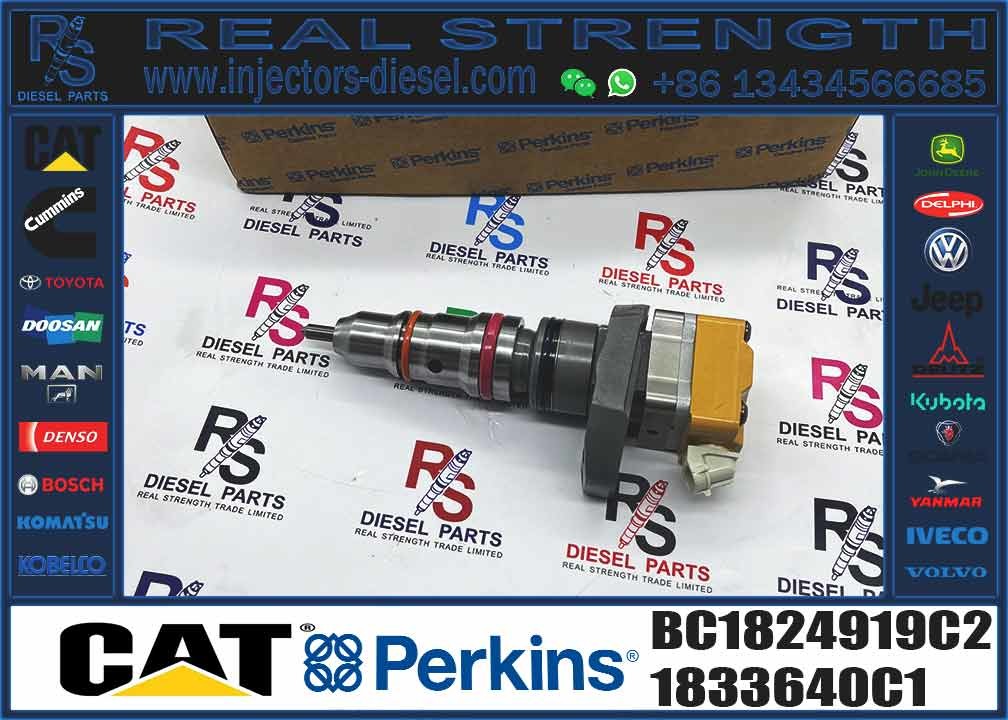 Fuel Injector Assembly BN1830693C3 593597C91R BI1830562C2 BI1830560C2 BI1830560C1 AP63813BN CE1829926C1 BC1824919C2