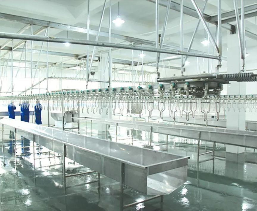 ISO9001 CE Full Automatic Poultry Slaughtering Line Automatic Chicken Slaughtering Line