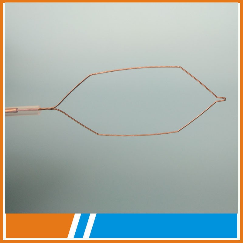 Single use Polypectomy Snares of endocopic instruments
