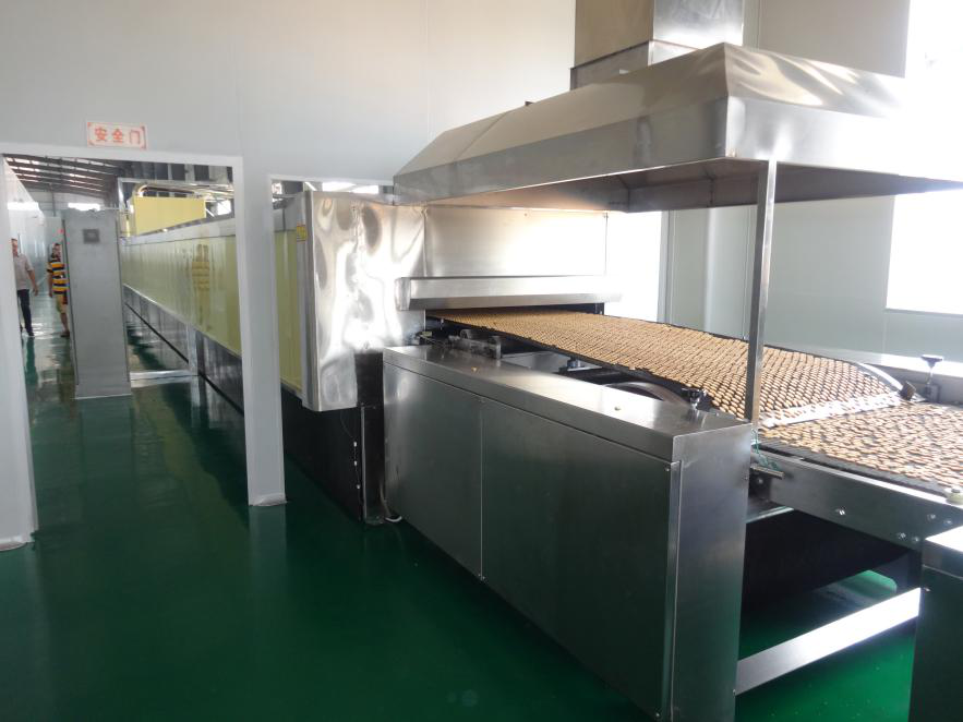 Industry Hard And Soft Biscuit Manufacturing Machine / biscuit factory machine 100kgs/hour