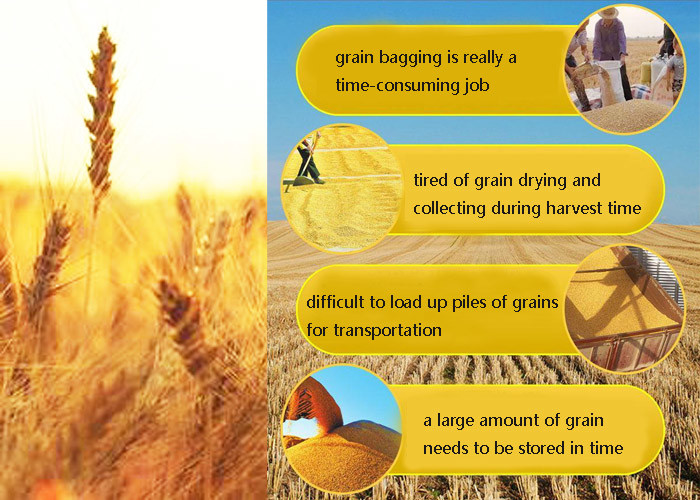 Grain Collecting And Bagging Machine