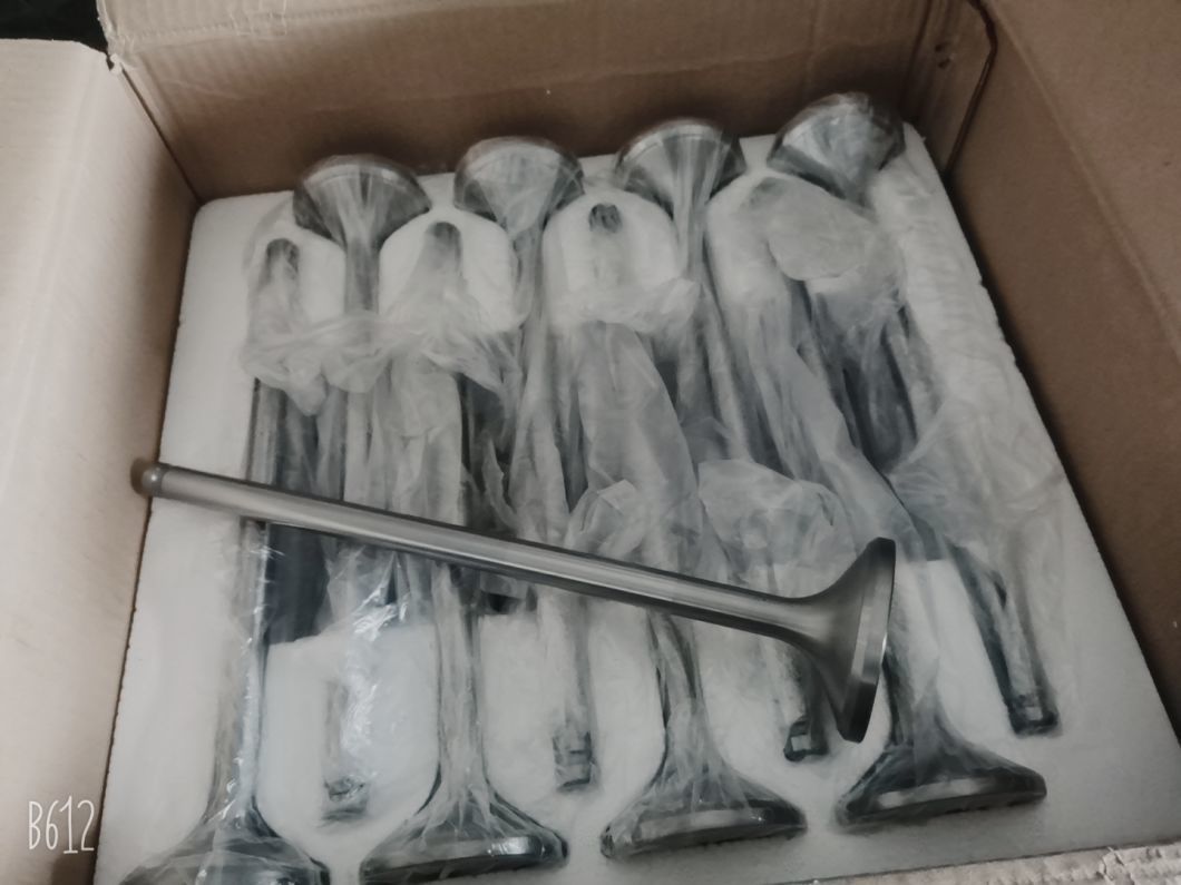190 Valve Seat Ring Jinan Diesel Engine Spare Parts Supply
