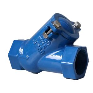 China Ductile Iron Flanged End Water Check Valve PN10 PN16 on sale
