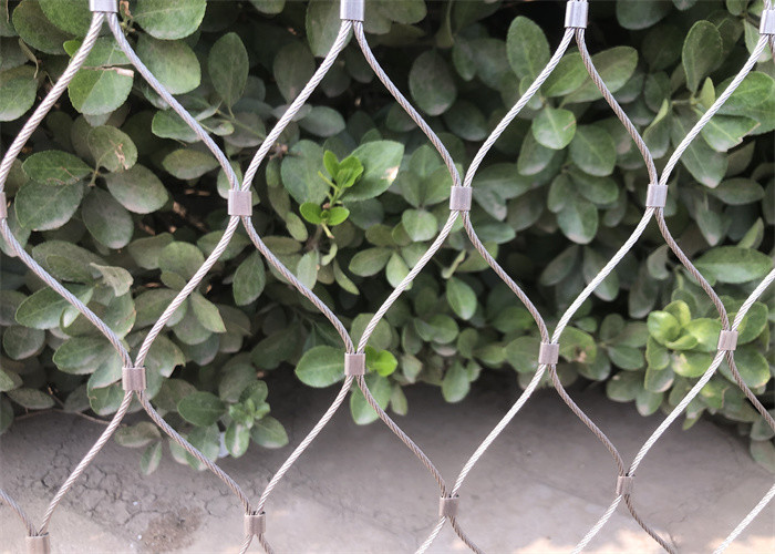 Inox Reo Mesh Climbing Plants 304 316 Stainless Steel Wire Mesh 150x150mm