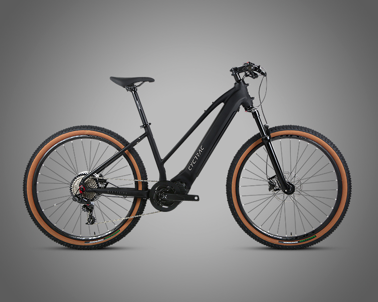 48V15Ah Lithium Battery Electric Bicycle with M510 Mid-Drive Motor and Sram NX Parts