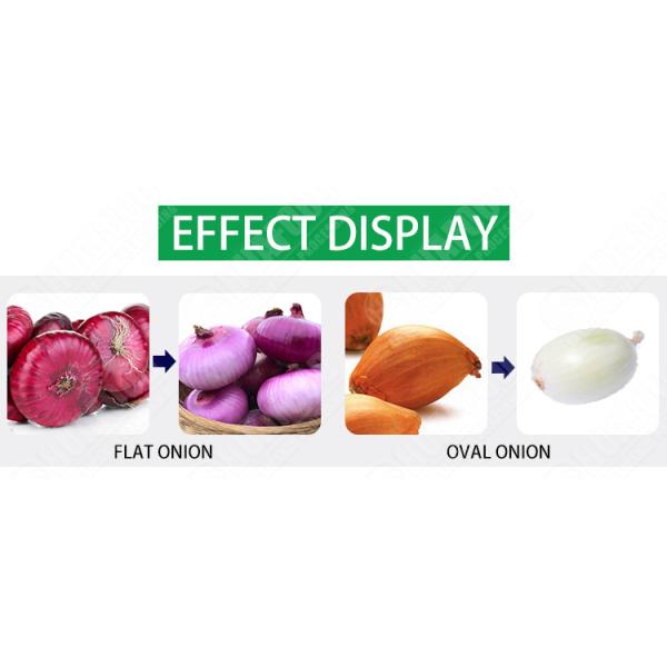 Vegetable 1.0MPa 3000kg/H 3 Belts Onion Peeling Machine