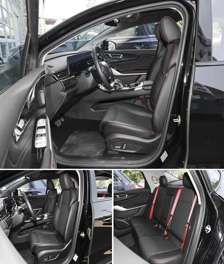 EU Certified Long Range Electric Cars with Lithium Battery and 0.5 Hour Charging Time