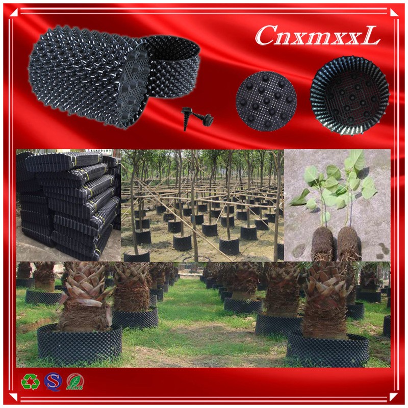 Black Tree 0.9mm PS Air Pruning Containers Hydroponic Plastic Air Root Pots