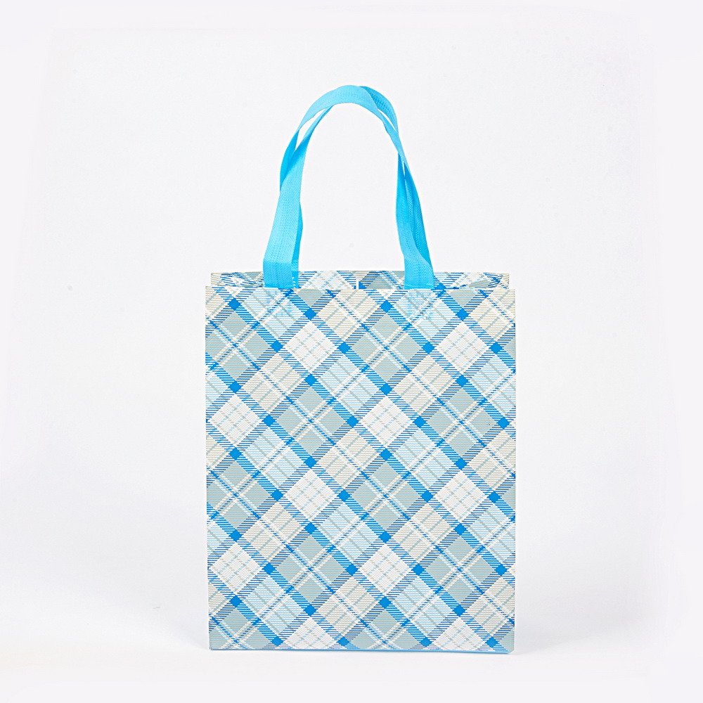 Hot Selling Fashionable Eco Friendly Reusable Non-Woven Shopping Bags