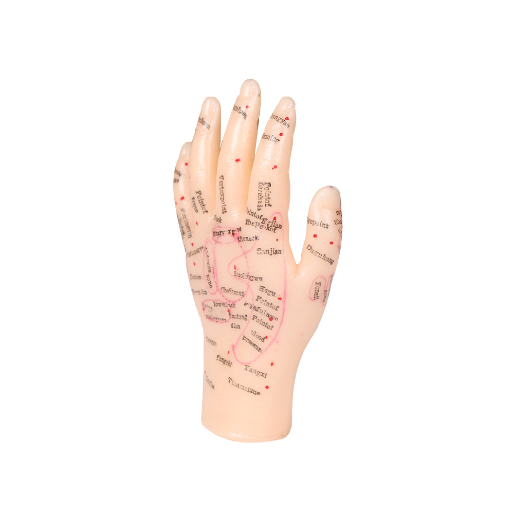 13cm Hand Acupuncture Point Model Chinese Acupuncture Teaching Model PVC