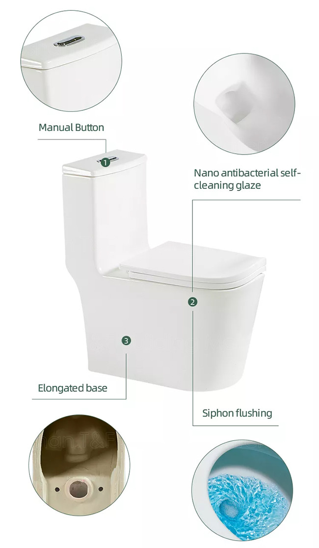 Bowl One Piece Water Closet Jet Siphonic Flushing Compact Elongated Toilet