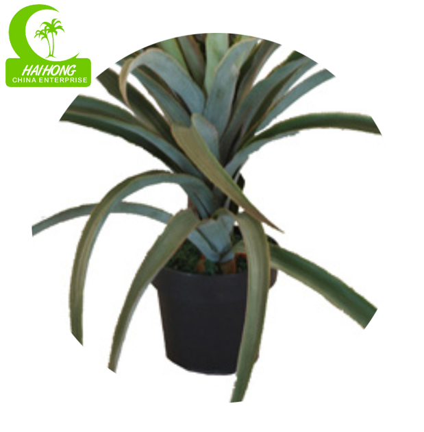 Good decoration for indoor/outside