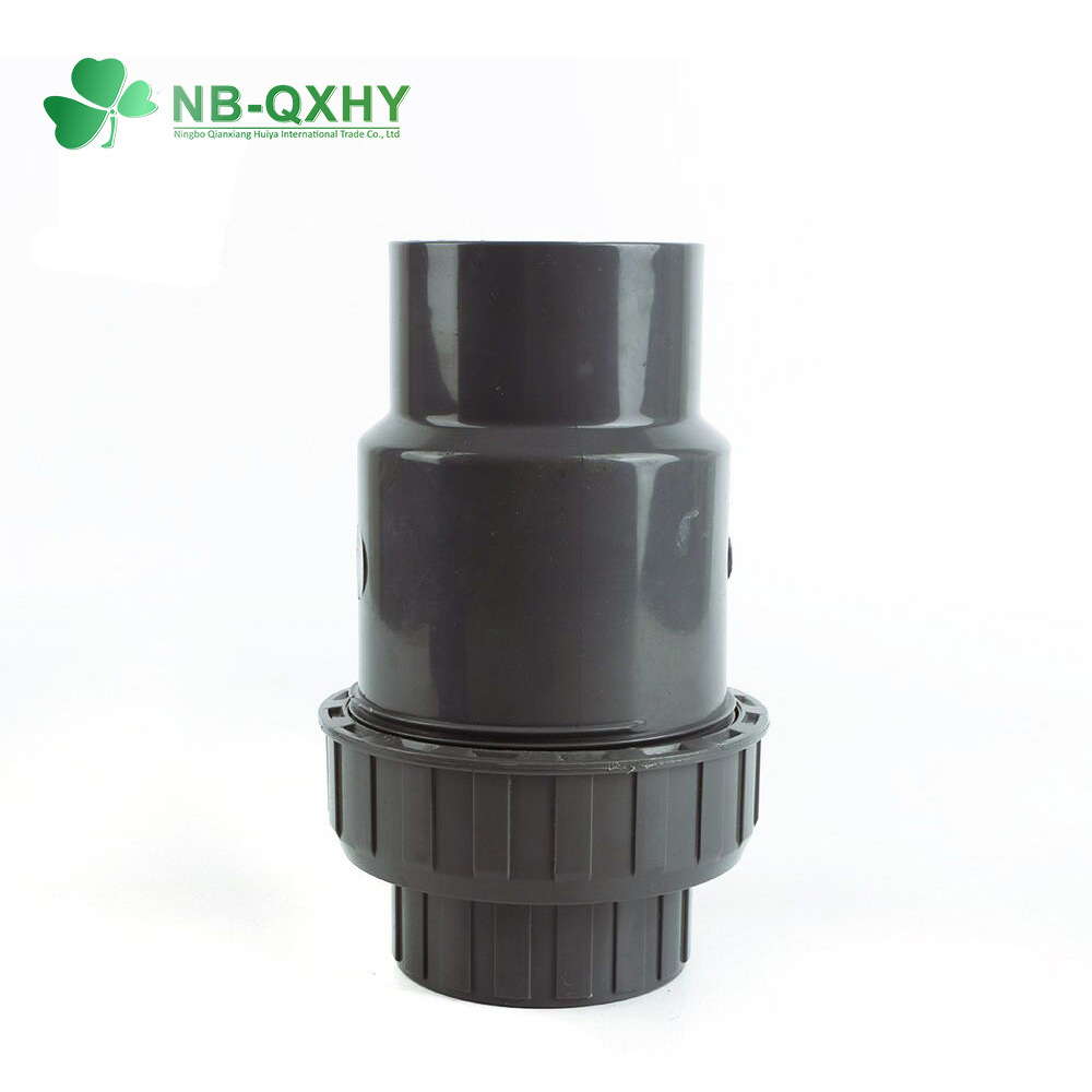 High Quality Plastic 1&prime;&prime; Spring Type PVC Check Valve