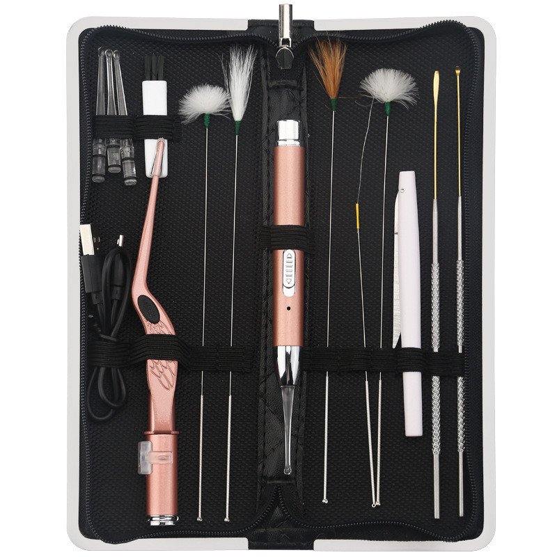 13PCS In 1 Suit Metal Steel Wood Ear Cleaner Portable Home Office Travel Use