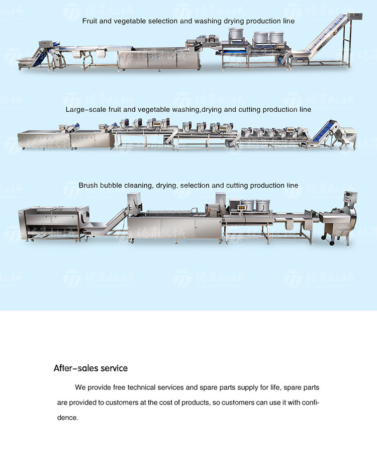 150KG 380V Lemon screening and grading machine stainless steel fruit sorting machine citrus fruit sorting machine