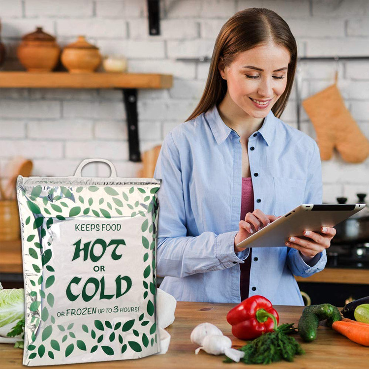 Plastic Disposable 4hours Hot Cold Insulated Bags Picnic Use