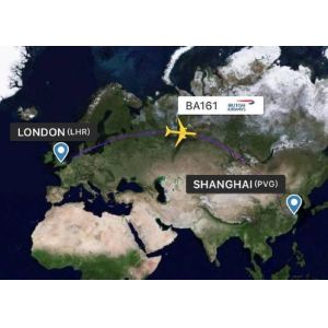 Air And Sea Freight Forwarder China Import Customs Clearance For EXW DDP DAP