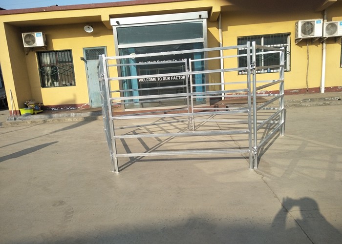 Australia Standard Steel Cattle Fence , Galvanized Horse Fence Panels With 5 / 6 Rail