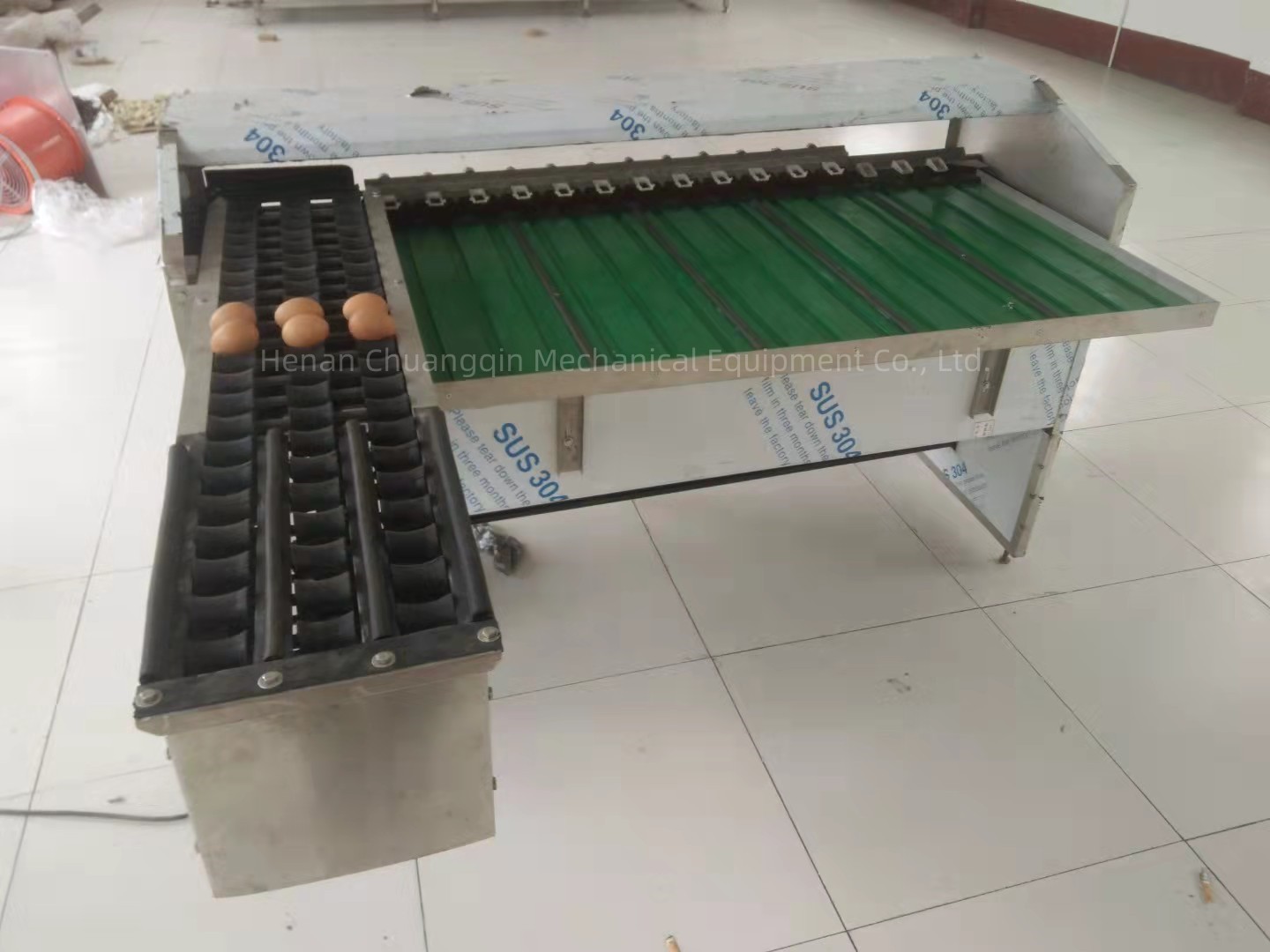 4000pcs/H 5400pcs/H Chicken Automatic Egg Grading Machine 220v 190w Egg Sorter