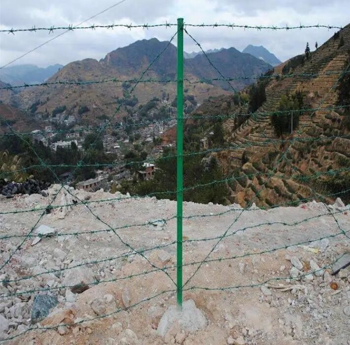 Double Strand Reverse Twist PVC Coated Iron Security Barbed Wire For Enhanced Security