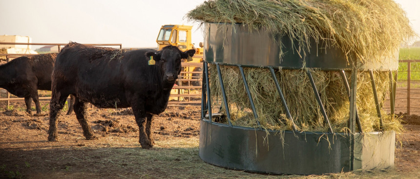 16ga Hot Galvanized Cow Round Bale Feeder 3mm Thickness 1-1/2"