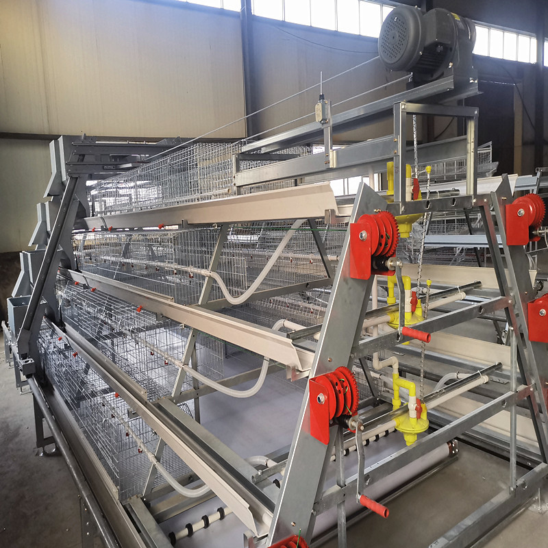 380V 50HZ Automatic Broiler Equipment For Chicken House, SONCAP Certified