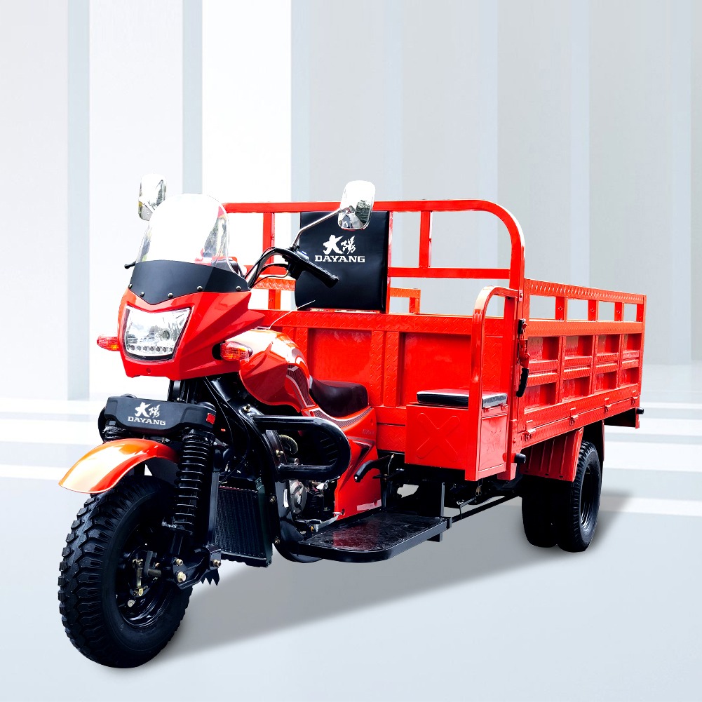 DAYANG 3 Wheel Motorcycle with Orange Body and Lifan 250CC 300CC Ultra-Cooled Engine
