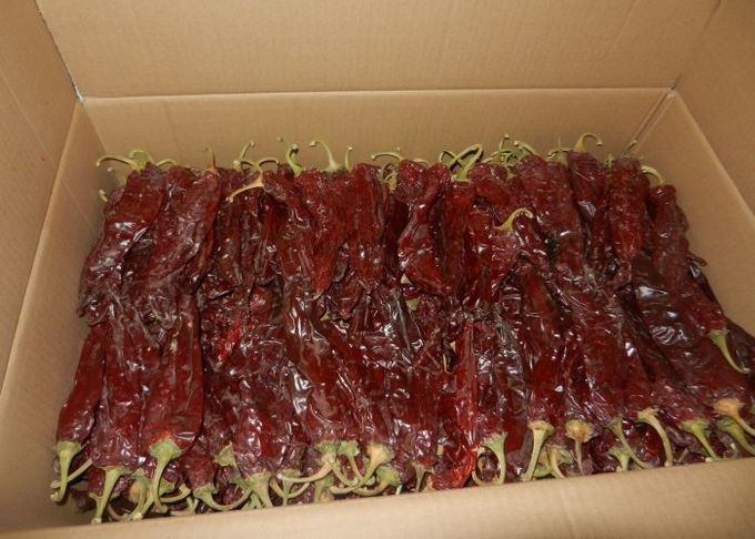 Guajillo Sun Dried Chilli Red Guajillo Peppers Sweet Flavor KOSHER