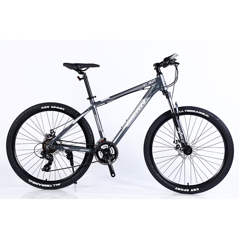 Large Women's Mountain Bike Set Equipped with Al Cassette Hub and Double Wall Rim Hl