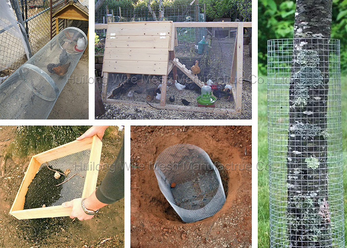 1" X 1" Galvanized Welded Wire Mesh Roll For Stock Farming And Culture
