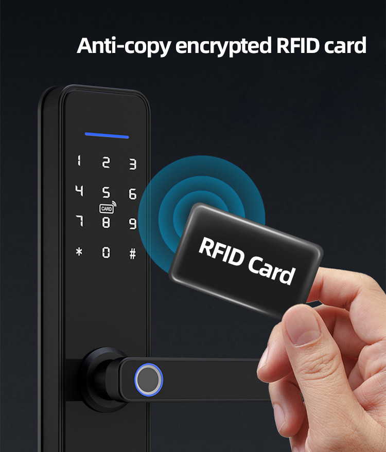 Aluminum Alloy Tuya App Door Lock