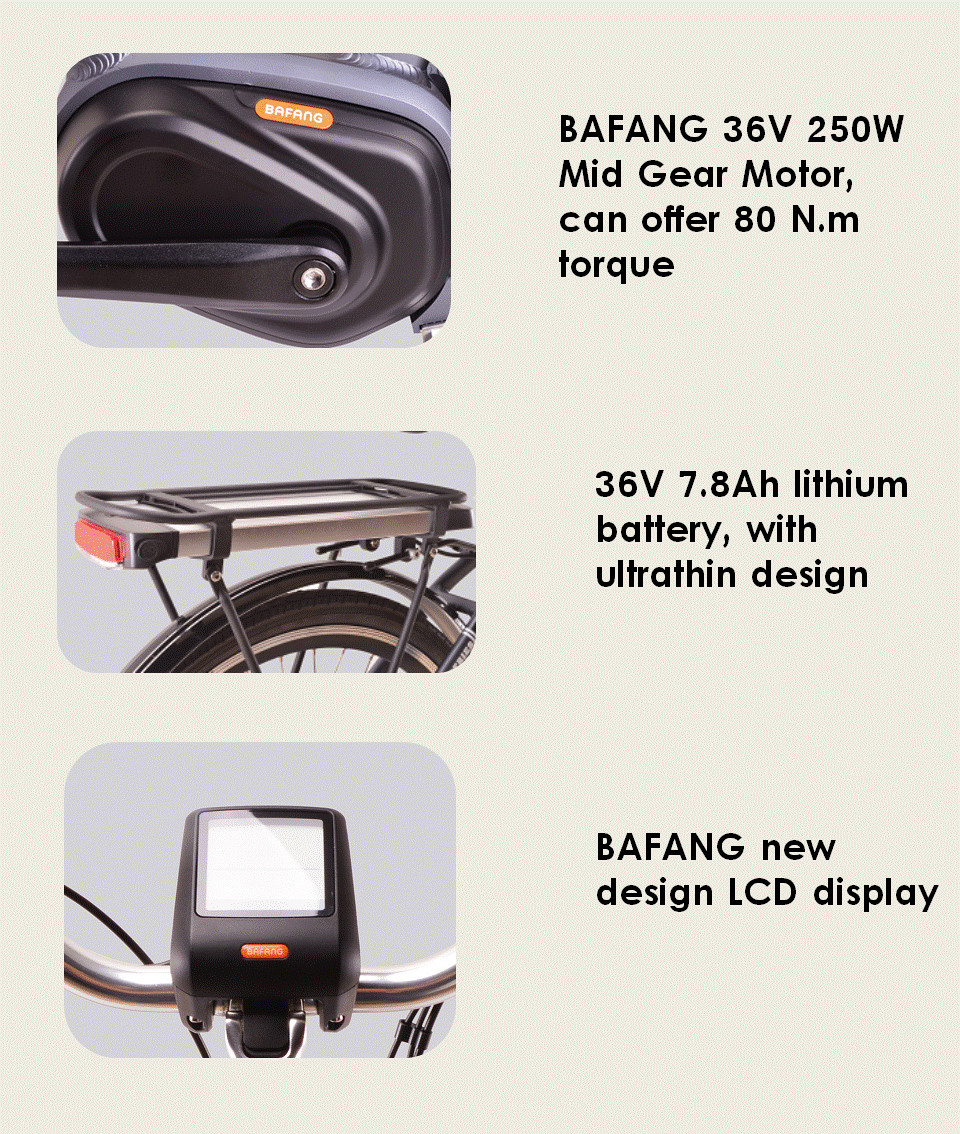 250W 36V Urban City Electric Bike 7.8Ah Samsung Cells