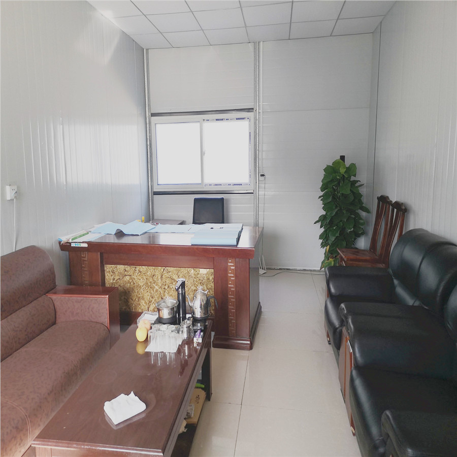 Customized Color Detachable Container Luxury Homes Modern Modular Prefabricated House