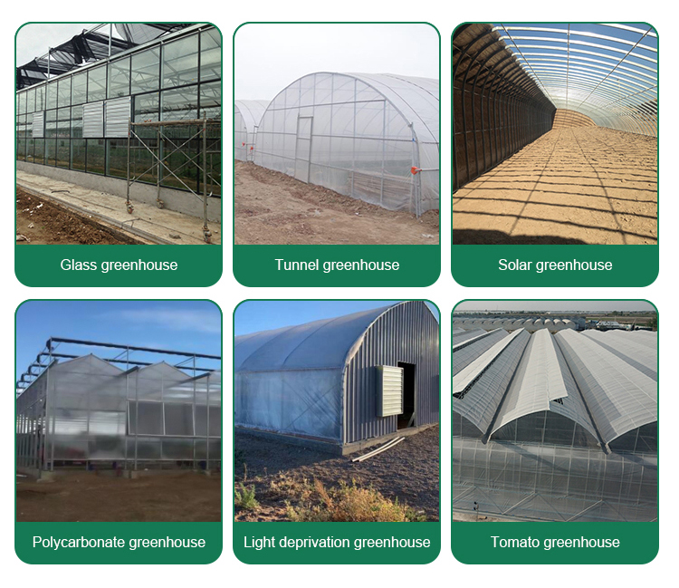 Multi-span Agricultural Glass Greenhouse with Film Covering Width 8m or Customizable